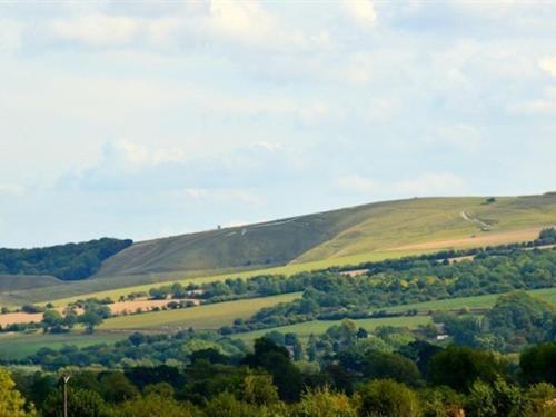 The White Horse View B&B Shrivenham Exteriör bild